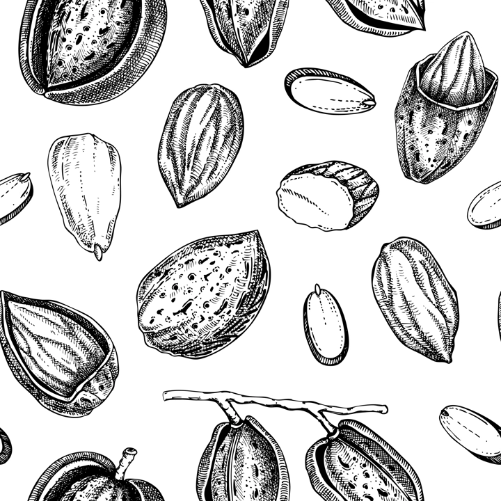 Almond sketched background. Nuts seamless pattern. Vintage branches with nuts, nutshells, almond slices sketches. Hand drawn vector illustration. Healthy food, vegan ingredients, packaging design
